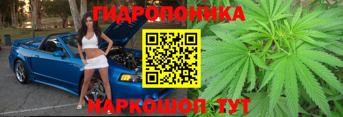 МАРИХУАНА индика Печора